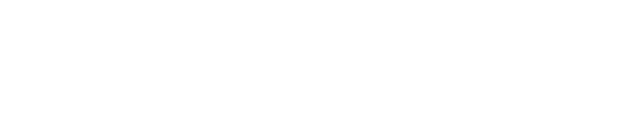 schwarzkorn.studios